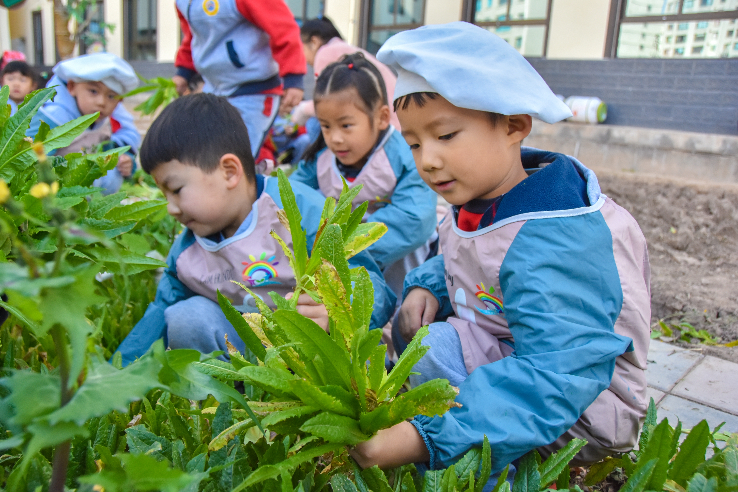 1.甘肅臨澤：濱河幼兒園“種植農(nóng)場” 體驗(yàn)農(nóng)耕樂趣3.JPG