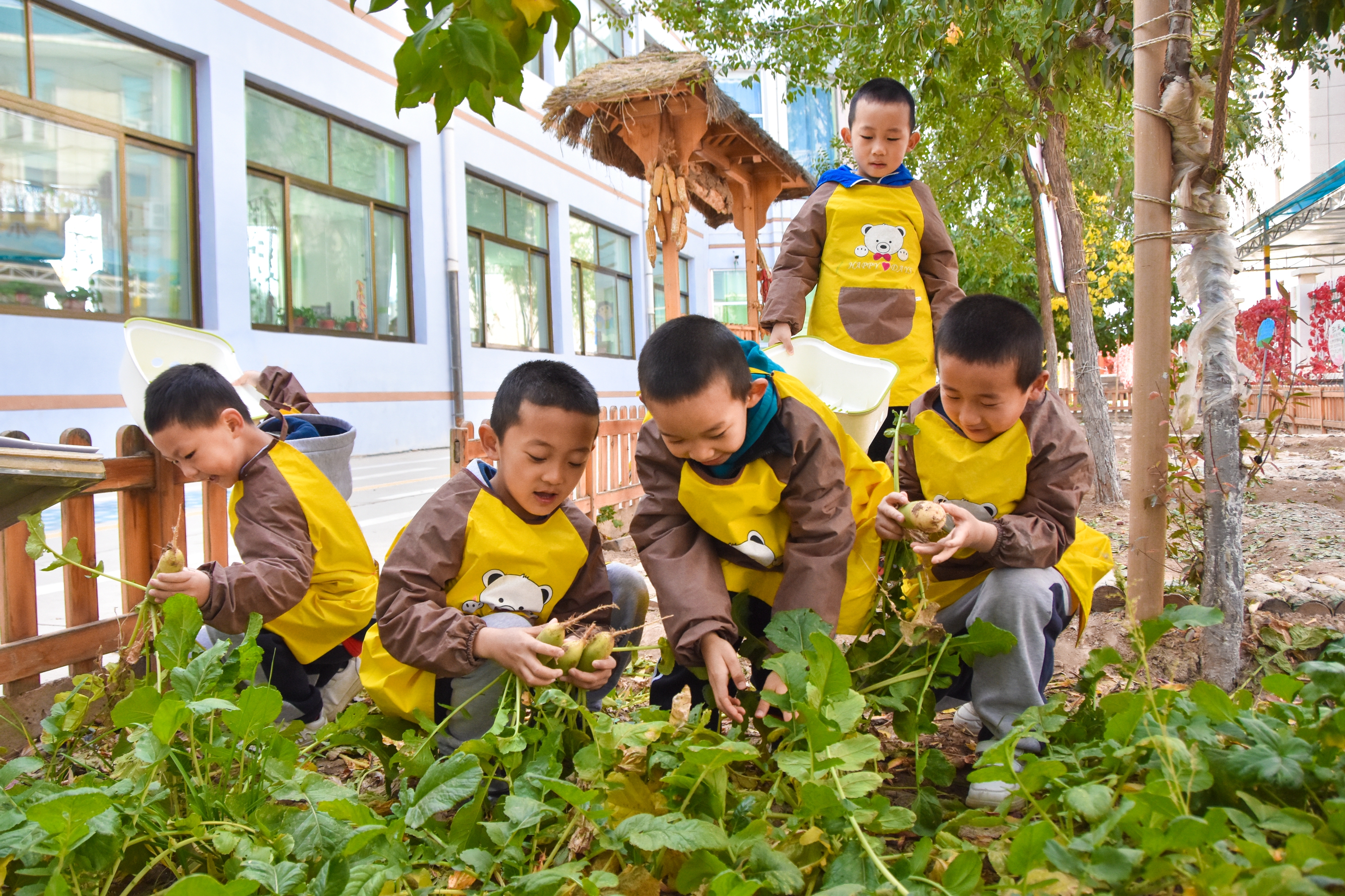 1.甘肅臨澤：濱河幼兒園“種植農(nóng)場” 體驗(yàn)農(nóng)耕樂趣4.JPG