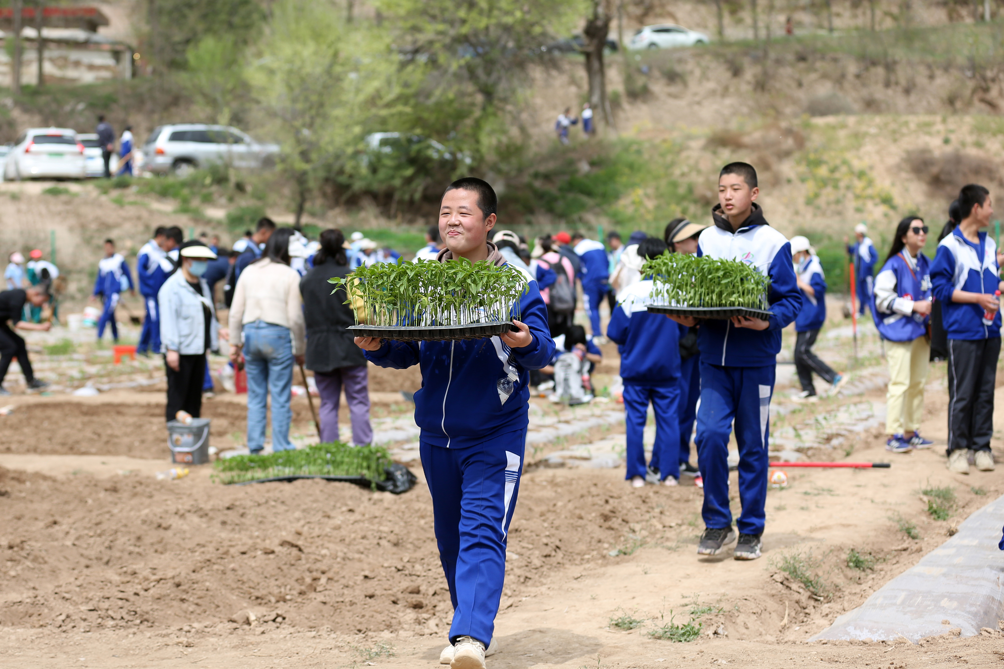 09——4月27日，在甘肅省平?jīng)鍪械谒闹袑W(xué)行知園學(xué)農(nóng)基地里，學(xué)生們?cè)诎徇\(yùn)辣椒苗。.JPG